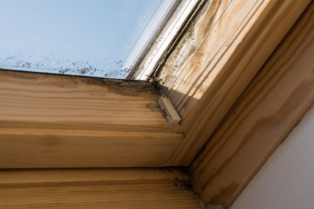 skylight leak