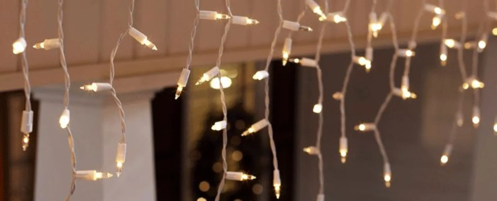 Holiday Decorations and your Roof
