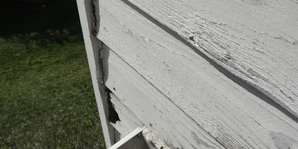 SIDING ROT