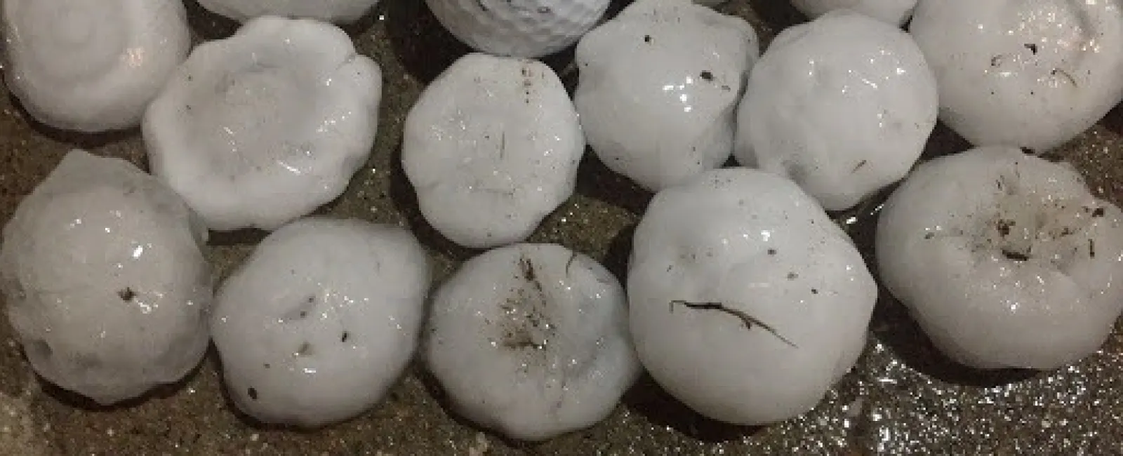 Signs of Hail Damage & Hail Damage Roof Inspection