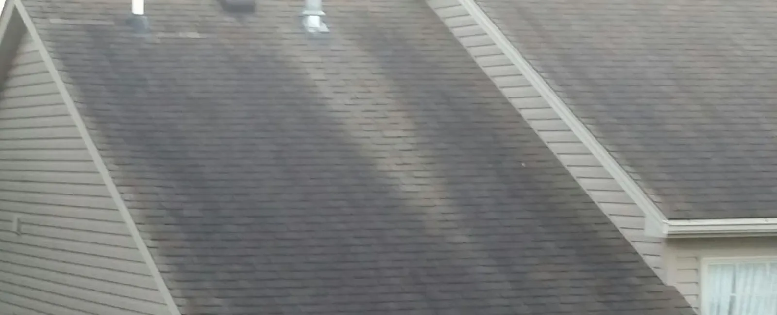 Why is My Roof Discolored?