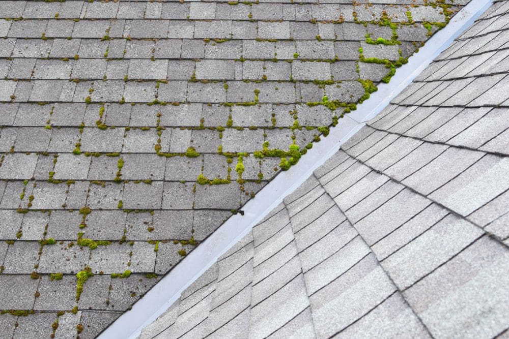 water stains on the ceiling is a sign you need a new roof